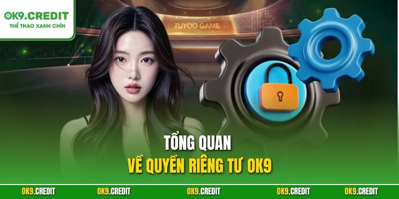 Quyền riêng tư OK9 1 Tổng quan về quyền riêng tư OK9